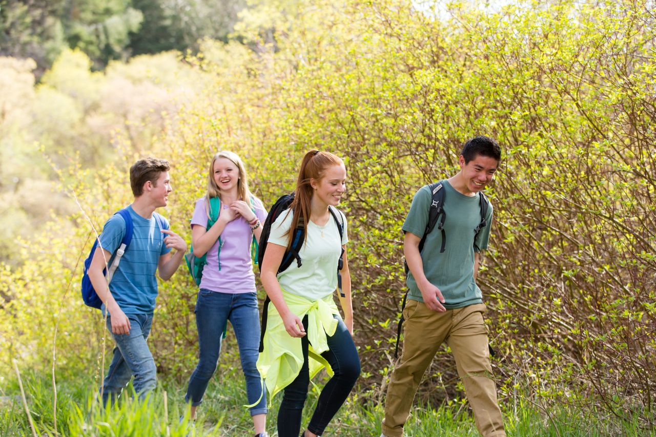 Jóvenes adultos caminan juntos por el bosque disfrutando de la compañía de unos y otros