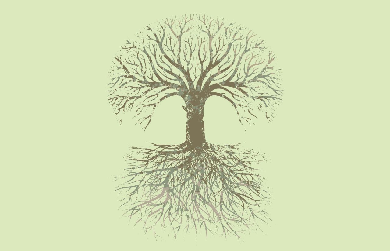 Árbol Familiar