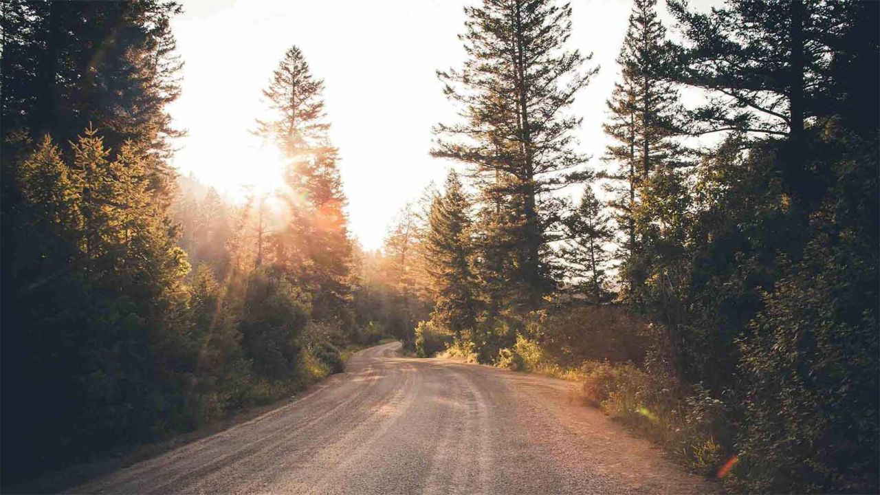 Un camino de tierra serpentea por el bosque muestra la mano de Dios en la naturaleza