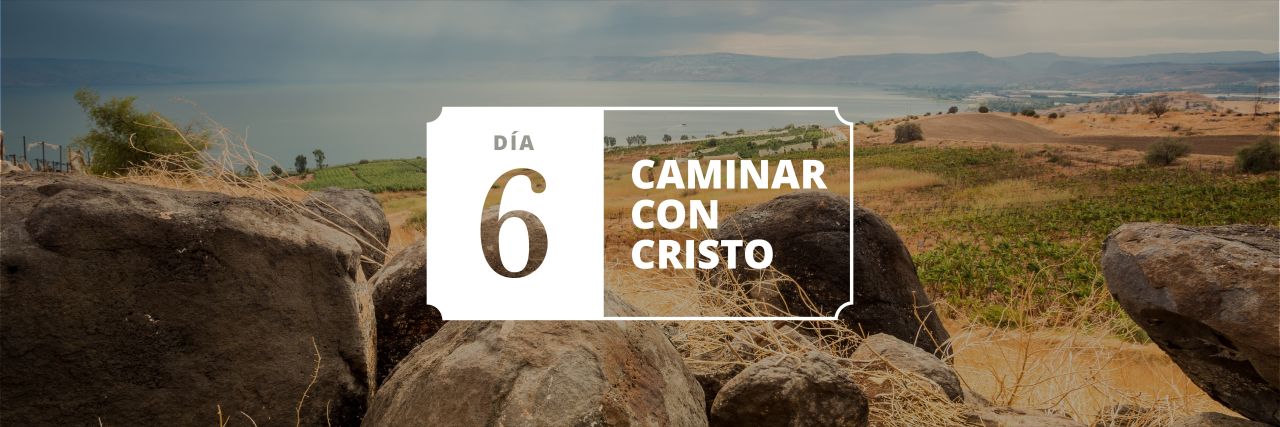 Una colina con vista al océano