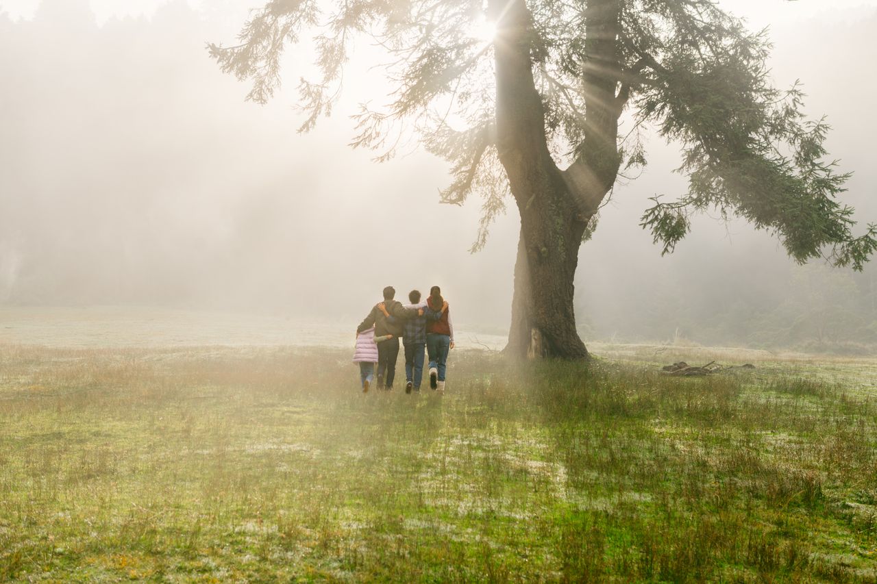 Una familia camina debajo de un árbol grande